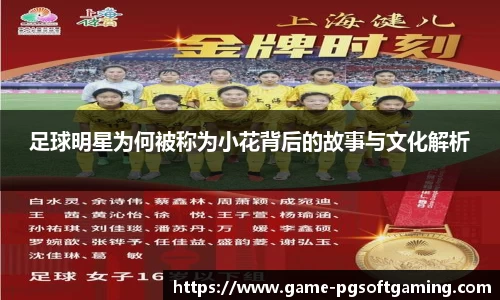 足球明星为何被称为小花背后的故事与文化解析